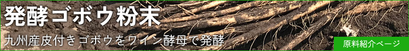 発酵ゴボウ粉末原料ページバナー（大）