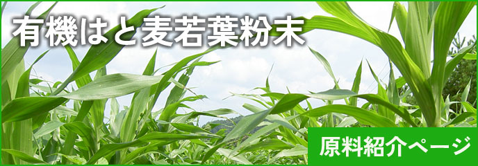 有機はと麦若葉粉末　原料バナー（小）