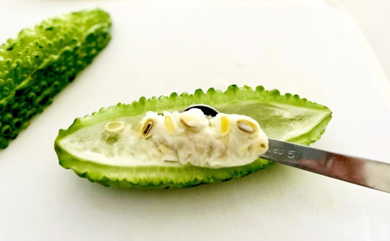 【情報追加】ワタ・種子を焙煎した – 「ゴーヤプラセンタパウダー」 - ふる里食効研究所